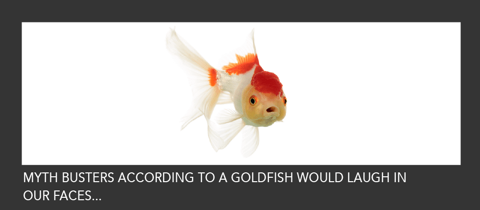 Goldfish and Business Myths